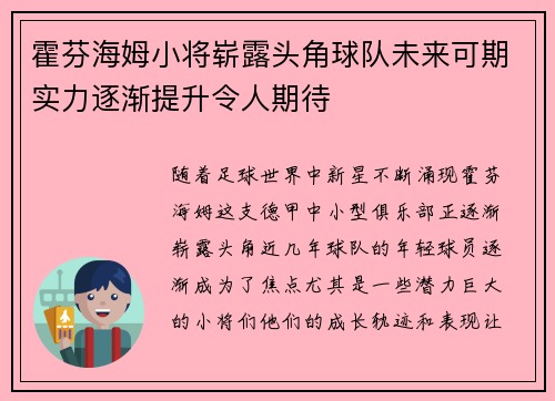 霍芬海姆小将崭露头角球队未来可期实力逐渐提升令人期待