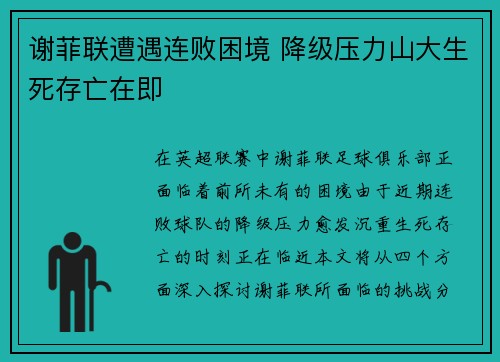 谢菲联遭遇连败困境 降级压力山大生死存亡在即