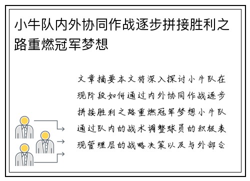 小牛队内外协同作战逐步拼接胜利之路重燃冠军梦想